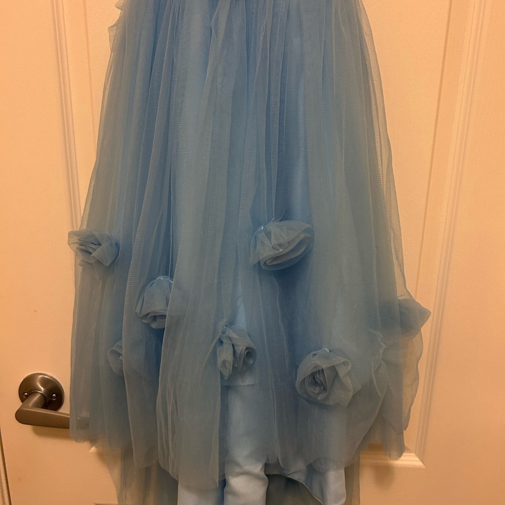 Elegant Blue Tulle Dress with Floral Accents - Picture 4 of 7